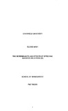 investor relations thesis Thumbnail